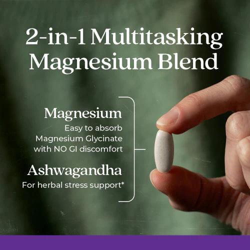 New Chapter Tablet New Chapter Magnesium + Ashwagandha Tablets, 30 Capsule – Nabatey Global